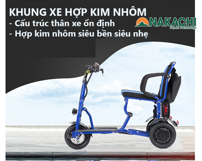 Xe điện cho người già