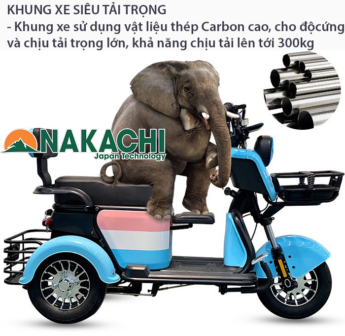 Xe điện 3 bánh chính hãng