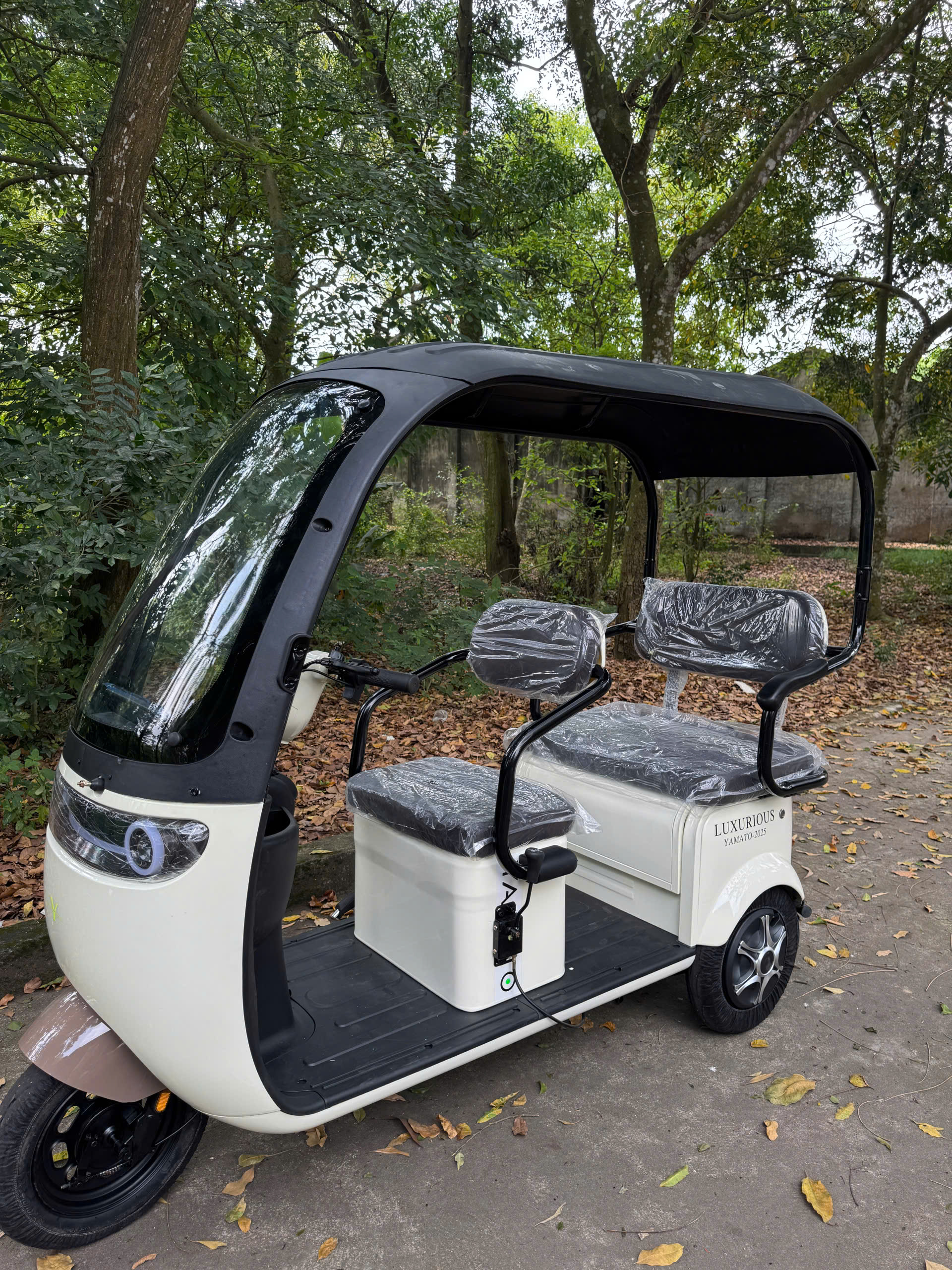XE điện 3 BÁNH 2 CHỔ NGỒI