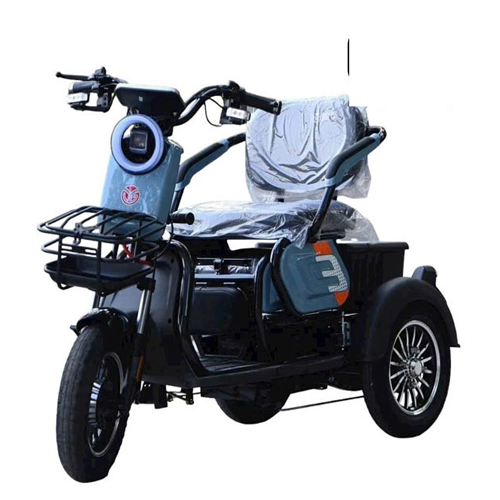 Xe điện 3 bánh E BIKE PRO