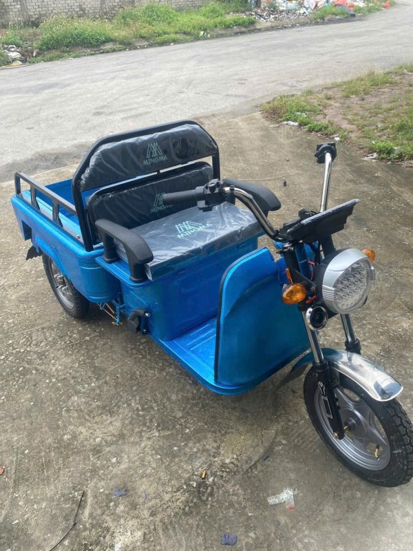 Xe điện 3 bánh chở hàng MINI 1.1M